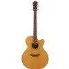 Furch S42-CR Westerngitarre (mit Tonabnehmer)