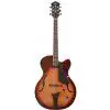 Hoefner HCT J17 CSB E-Gitarre
