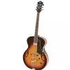 Hoefner HCT J17 SB E-Gitarre