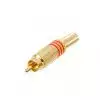 Klotz RCAMG-7RT Adapter RCA