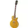 Epiphone Les Paul Slash Appetite E-Gitarre