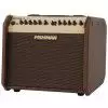 Fishman Loudbox Mini