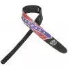 Planet Waves 25LLS01 2,5″ Lynyrd Skynard- FLAG Gitarrengurt
