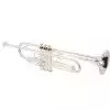 Roy Benson Charlie Green Signature