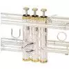 Roy Benson Charlie Green Signature