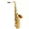 Roy Benson TS-202  Tenor Saxophon