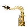 Roy Benson TS-202  Tenor Saxophon