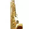 Roy Benson TS-202  Tenor Saxophon