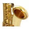 Roy Benson TS-202  Tenor Saxophon