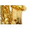 Selmer Paris Serie II Super Action 80 GP