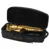 Selmer Paris Serie II Super Action 80 GP