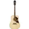 Epiphone DOVE NA Westerngitarre