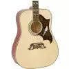 Epiphone DOVE NA Westerngitarre