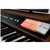 Roland C 200 klassische Orgel