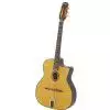 Richwood RM 150 NT Hot Club Jazzgitarre