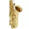 Trevor James 3822G Tenor-Saxofon (+ Koffer)