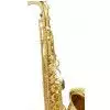 Trevor James 3822G Tenor-Saxofon (+ Koffer)