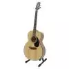 Takamine G220S Westerngitarre