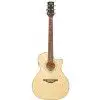 Hoefner HA GC 05 Westerngitarre (mit Tonabnehmer)