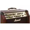 Marshall AS100D Verstrker