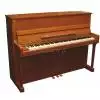 AN T.Piano Up 113 Piano