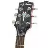 Jay Turser JT220 CS E-Gitarre