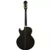 Epiphone PR 5E EB Westerngitarre (mit Tonabnehmer)