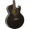 Epiphone PR 5E EB Westerngitarre (mit Tonabnehmer)