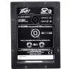 Peavey SP 3 Lautsprecher-Paar