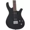 Parker PDF 40 B E-Gitarre