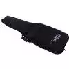 Parker PDF 40 B E-Gitarre
