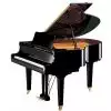 Yamaha GC1 M PE Baby Grand Klavier