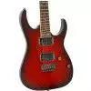 Ibanez RG-321MH BBS E-Gitarre