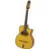 Richwood RM 140 NT Jazzgitarre