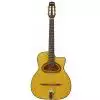 Richwood RM 140 NT Jazzgitarre