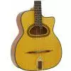 Richwood RM 140 NT Jazzgitarre