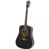 Washburn WD5 SB Westerngitarre