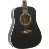 Washburn WD5 SB Westerngitarre