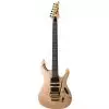 Ibanez EGEN 8 PLB Hermann Lee E-Gitarre
