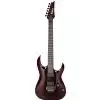 Ibanez RGA 420Z PRT E-Gitarre
