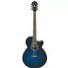 Ibanez AEG10E TBS Westerngitarre (mit Tonabnehmer)