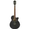 Ibanez AEG20E TG Westerngitarre (mit Tonabnehmer)