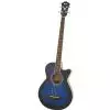 Ibanez AEGB20E TBS Westerngitarre (mit Tonabnehmer)