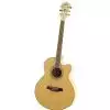 Ibanez AEL 20 E NT Westerngitarre (mit Tonabnehmer)