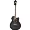 Ibanez AEL20E TKS Westerngitarre (mit Tonabnehmer)
