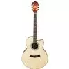 Ibanez AEL40SE RLV Westerngitarre (mit Tonabnehmer)