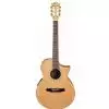 Ibanez EWN30SYE NT Exotic Wood