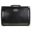 Peavey Ecoustic E208 Verstrker