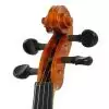 Strunal 1750