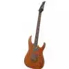 Ibanez RGA 32 MOL E-Gitarre